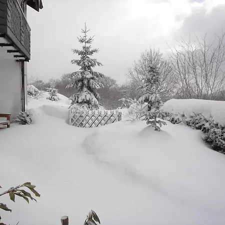 Vakantiehuis Redhead Winterberg